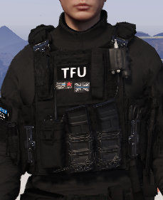 Union Mods - TFU + AFO Vest texture